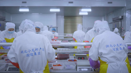 全國首個小龍蝦加工基地揭牌 全鏈賦能‘蝦’經濟，助力鄉(xiāng)村振興與技術推廣